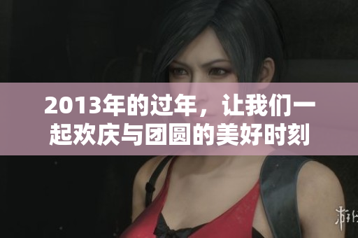 2013年的过年，让我们一起欢庆与团圆的美好时刻
