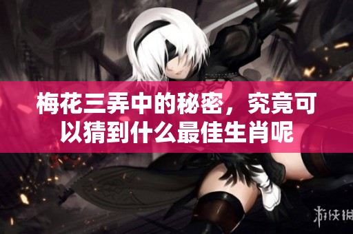 梅花三弄中的秘密，究竟可以猜到什么最佳生肖呢