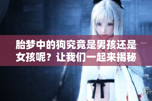 胎梦中的狗究竟是男孩还是女孩呢？让我们一起来揭秘这个谜题吧！