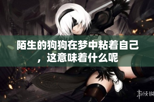陌生的狗狗在梦中粘着自己，这意味着什么呢