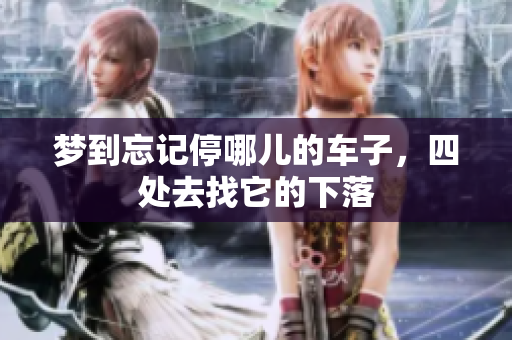 梦到忘记停哪儿的车子，四处去找它的下落
