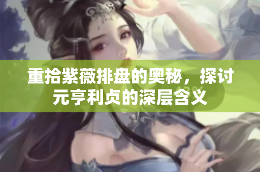 重拾紫薇排盘的奥秘，探讨元亨利贞的深层含义