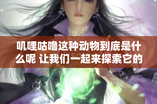 叽哩咕噜这种动物到底是什么呢 让我们一起来探索它的神秘之处吧