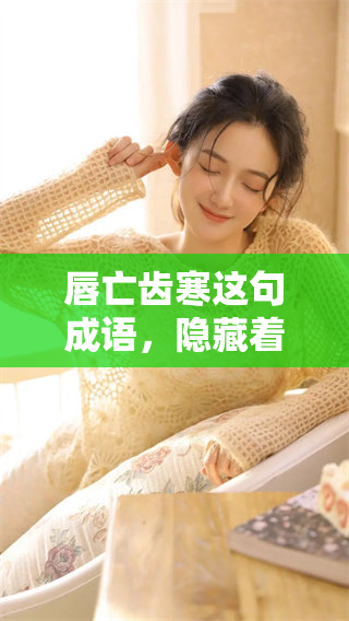 唇亡齿寒这句成语，隐藏着哪个生肖的秘密呢请仔细分析吧