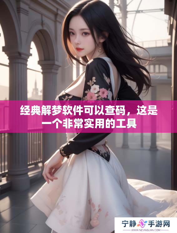 经典解梦软件可以查码，这是一个非常实用的工具