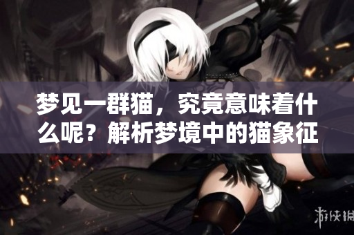 梦见一群猫，究竟意味着什么呢？解析梦境中的猫象征与含义