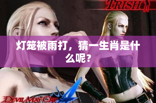 灯笼被雨打，猜一生肖是什么呢？