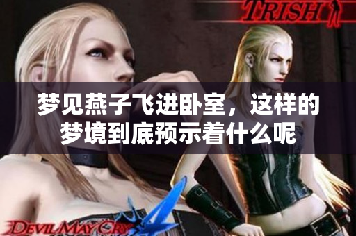 梦见燕子飞进卧室，这样的梦境到底预示着什么呢