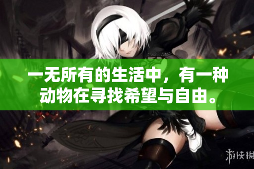 一无所有的生活中，有一种动物在寻找希望与自由。