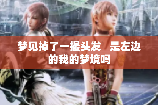 梦见掉了一撮头发   是左边的我的梦境吗