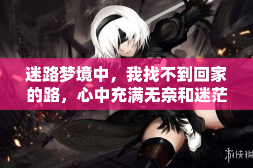 迷路梦境中，我找不到回家的路，心中充满无奈和迷茫