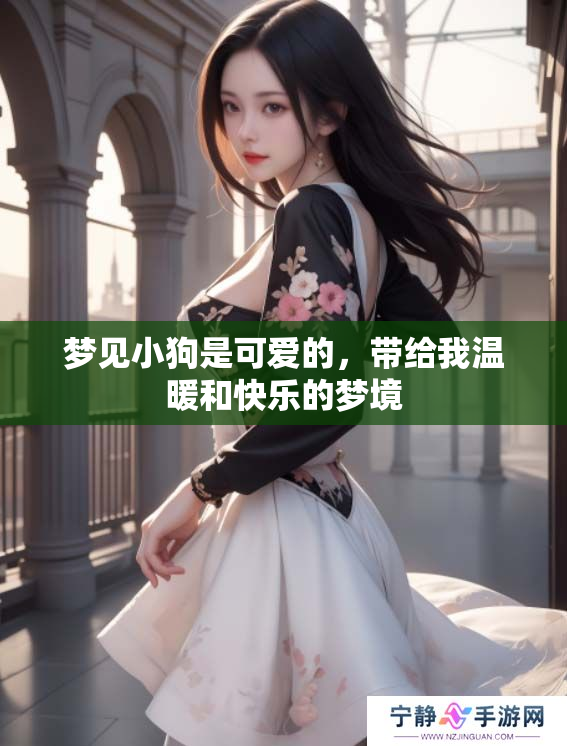 梦见小狗是可爱的，带给我温暖和快乐的梦境